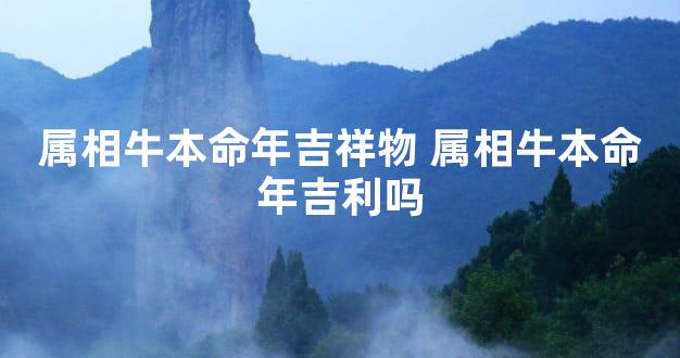 属相牛本命年吉祥物 属相牛本命年吉利吗